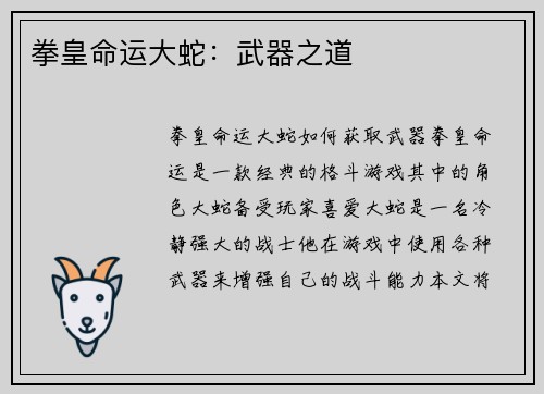 拳皇命运大蛇：武器之道